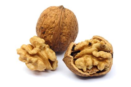 noix fruit.